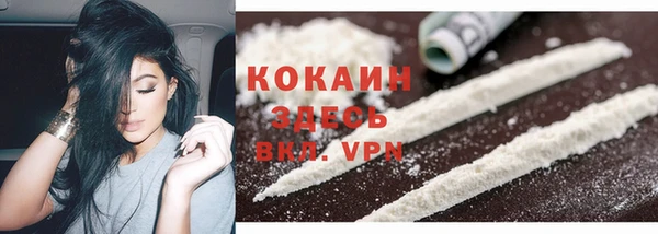 хмурый Гусев