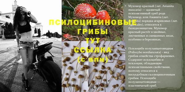 мдма Гусь-Хрустальный