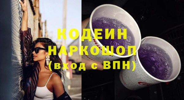 хмурый Гусев