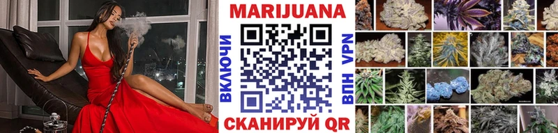 Купить  Зарайск  Конопля сатива 